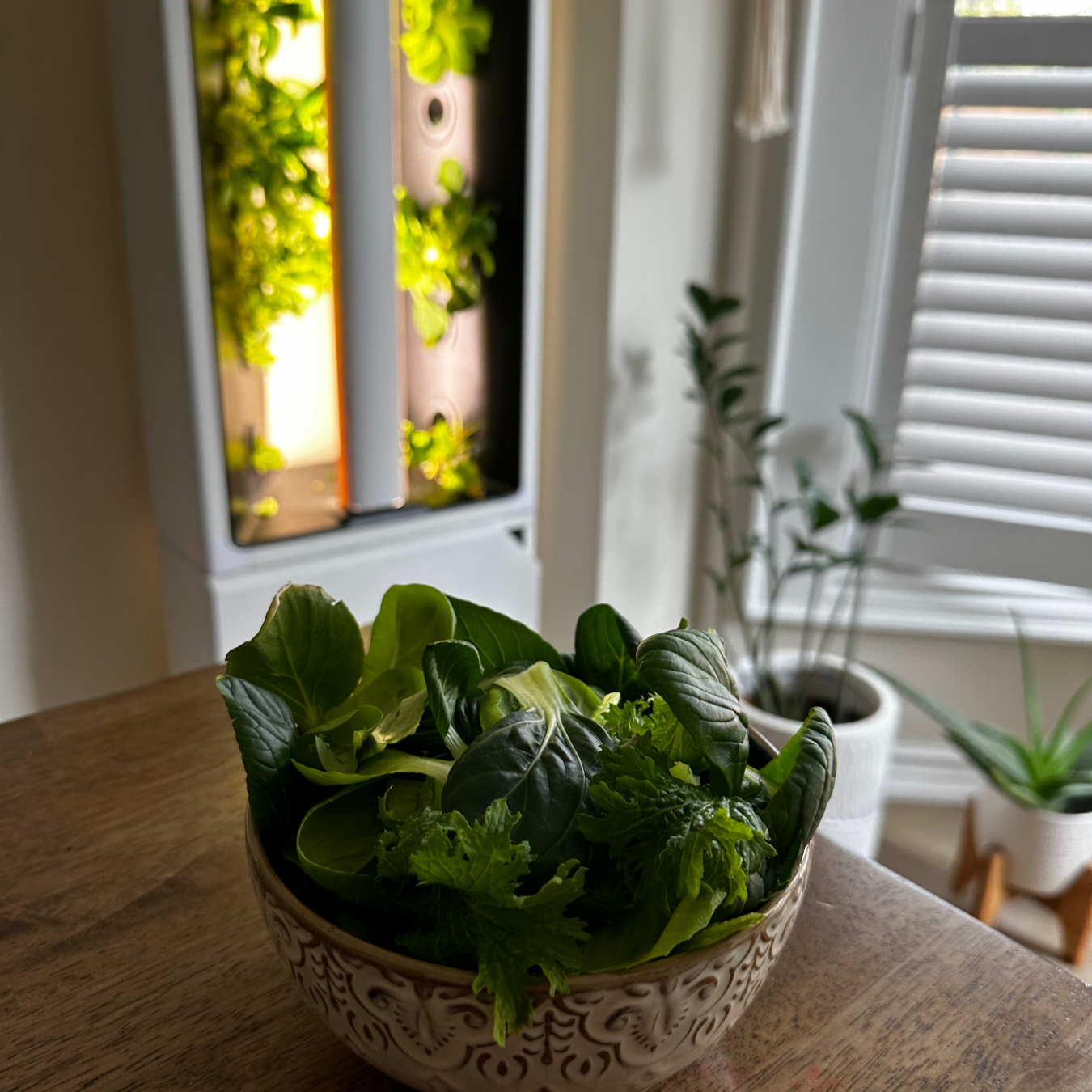 Urban Smart Gardens