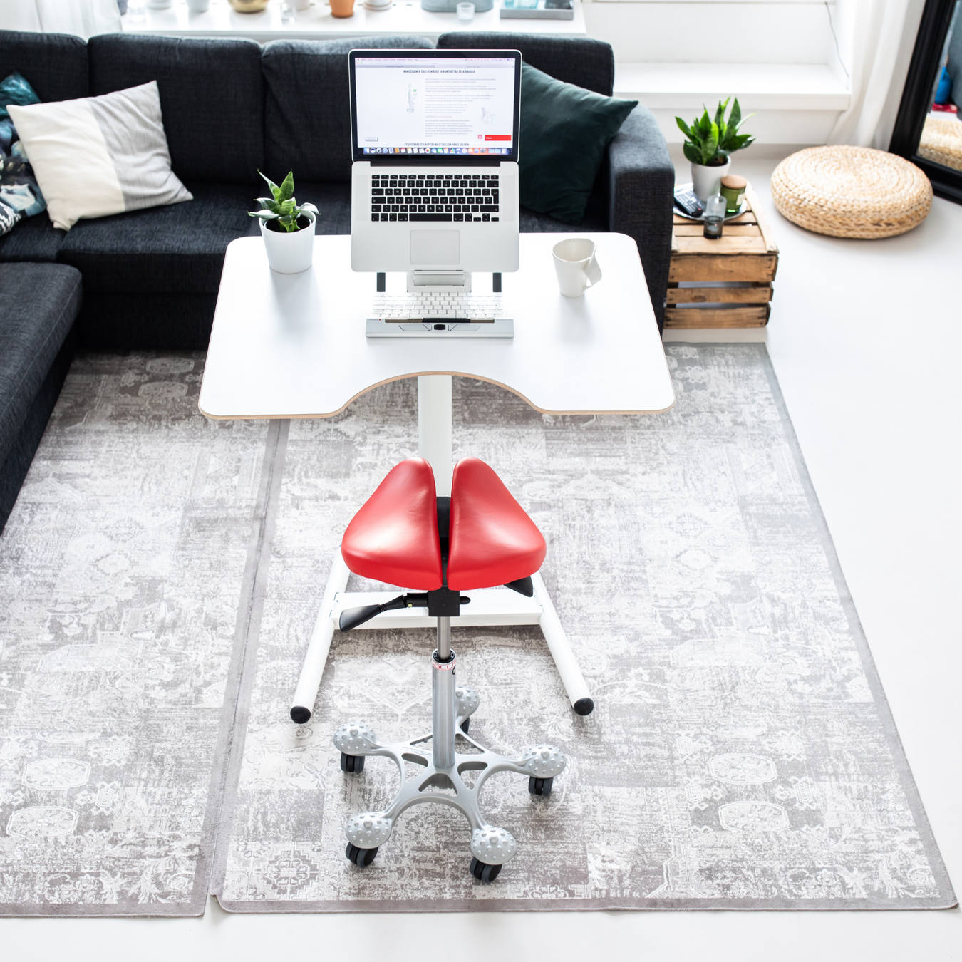 The Productivity Zone - Condopreneur