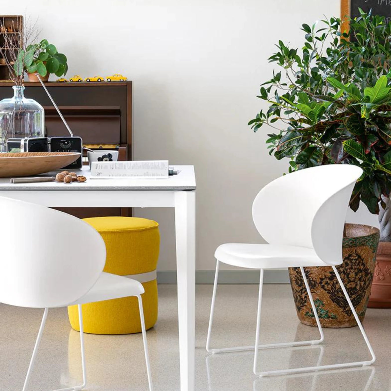 Dining Chairs