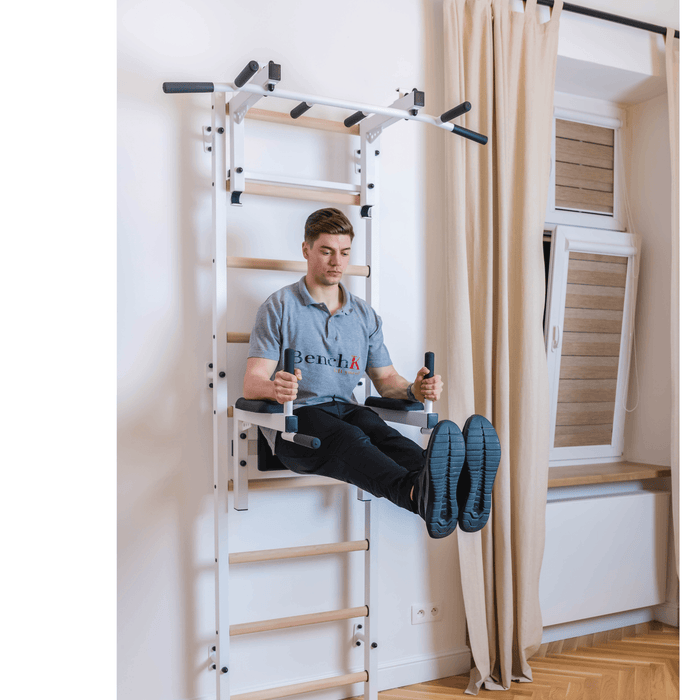 732 Wall Bar With Pull-Up Bar(With Barbell Holder) + Dip Bar - Condopreneur