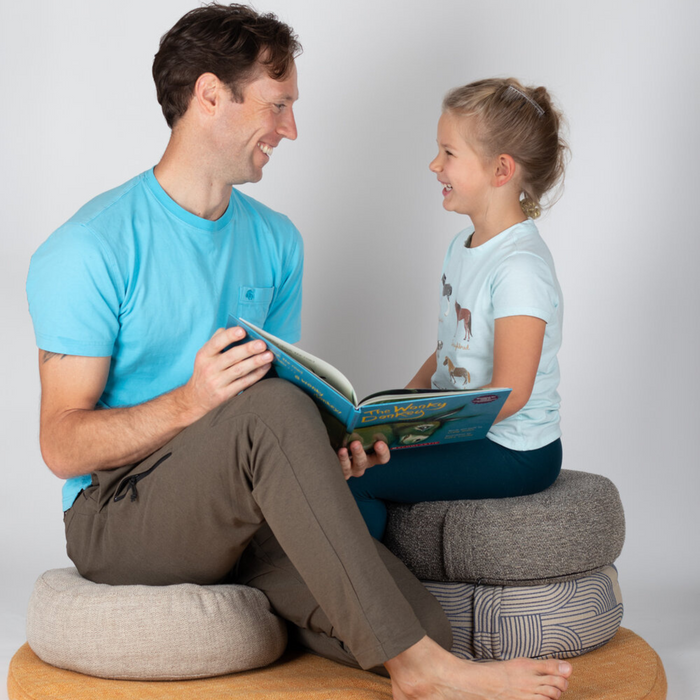 Venn Design Sitting Cushion