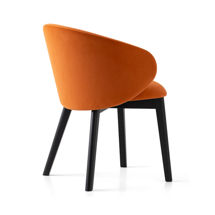 Connubia Tuka Armchair