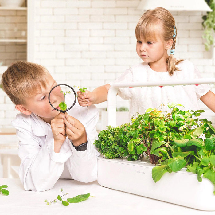 Click and Grow - The Smart Garden 9